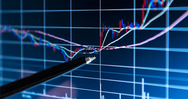 Investment & Business